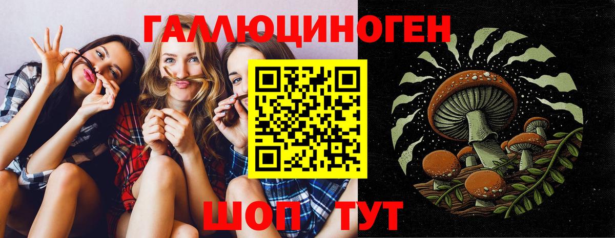 Астрахань  Галлюциногенные грибы мицелий  Вход с VPN  Псилоцибиновые грибы Psilocybine cubensis 